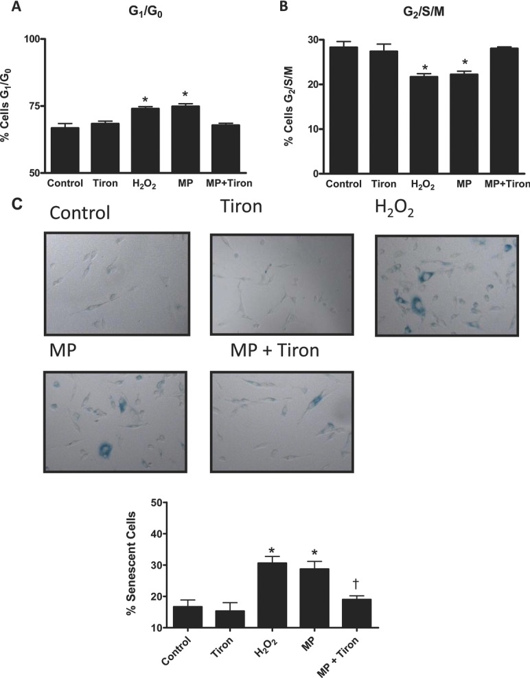 Figure 6.