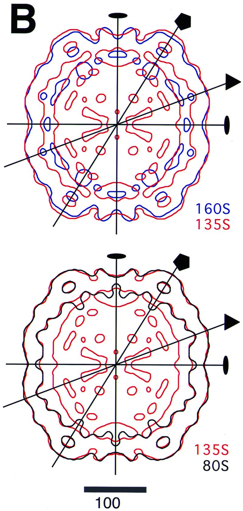 FIG. 3