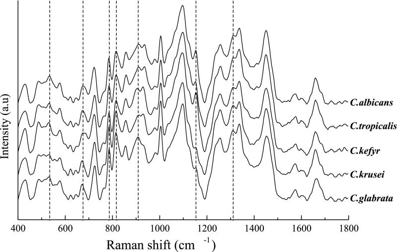 FIG. 1.