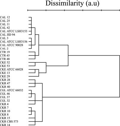 FIG. 2.