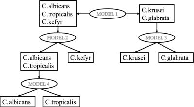 FIG. 4.