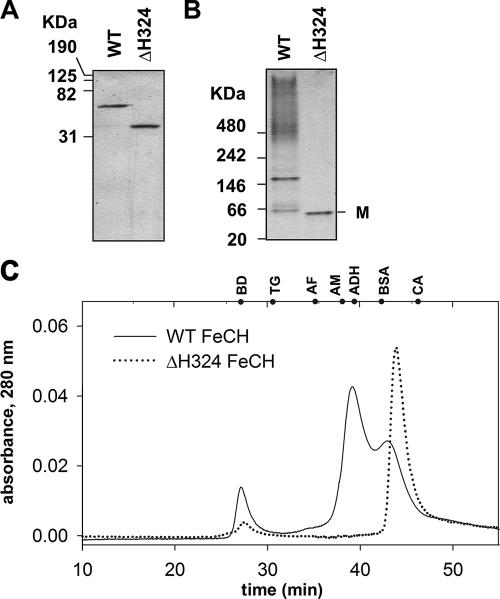 FIG. 6.