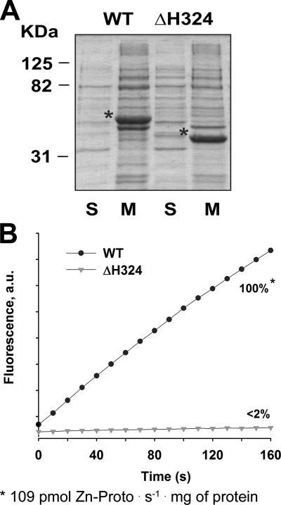 FIG. 5.