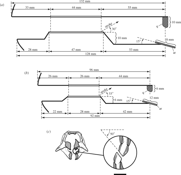 Figure 5.