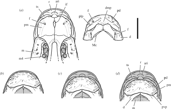 Figure 4.