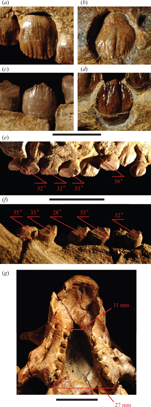 Figure 3.