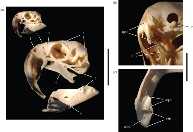 Figure 6.