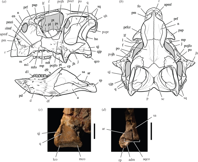 Figure 2.