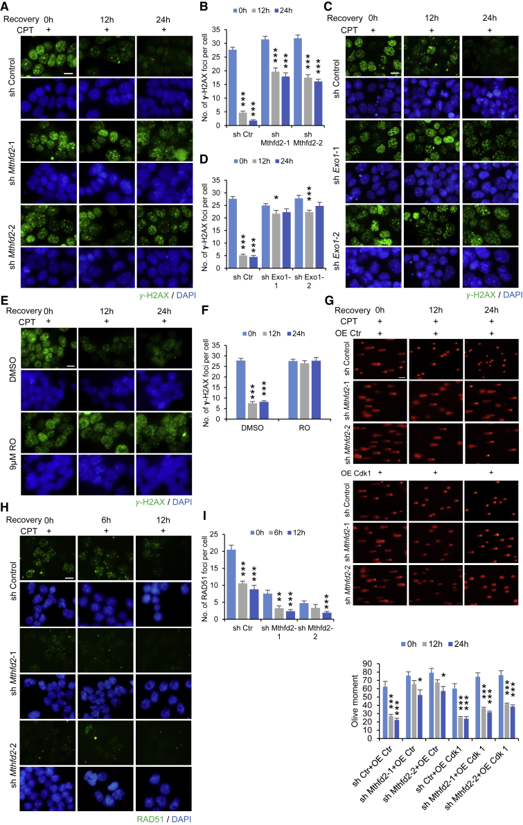 Figure 6