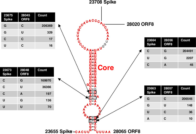 Fig 3