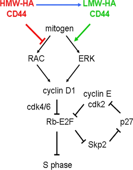 FIGURE 7.