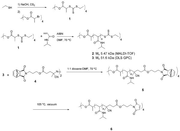 Scheme 2