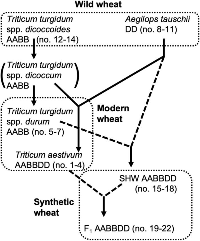 FIGURE 1