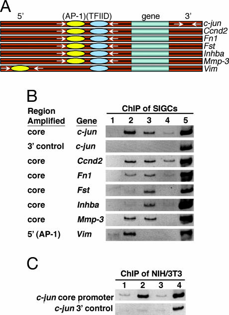 Fig. 5.