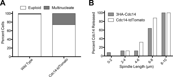 Figure 4—figure supplement 1.