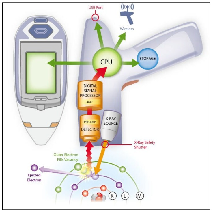 Figure 31