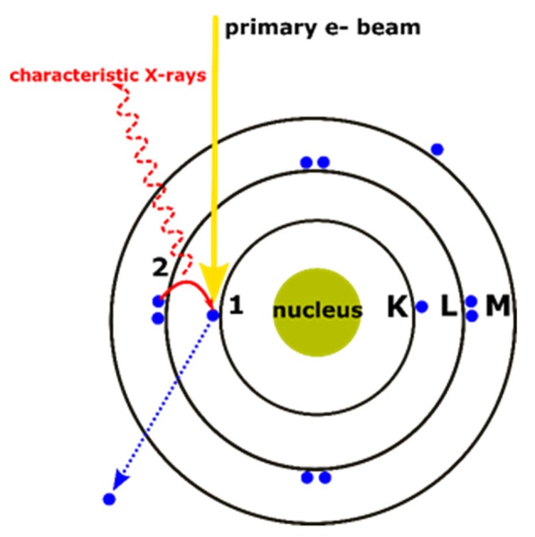 Figure 29