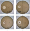 Figure 11