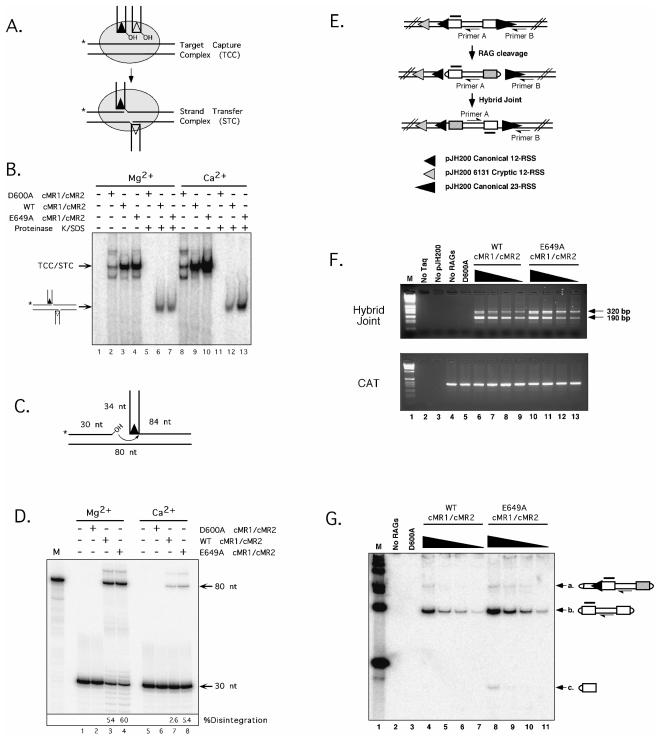 FIG. 6.