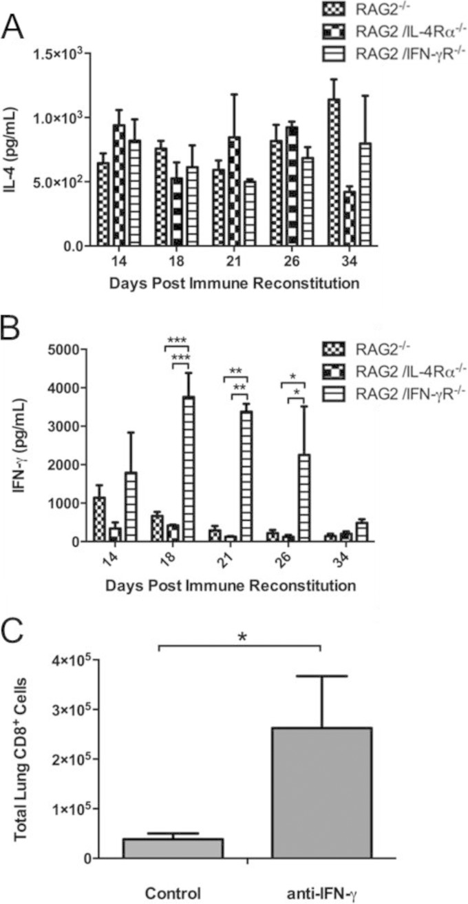 FIG 6