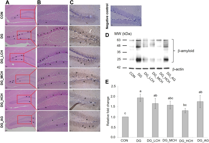 Figure 2