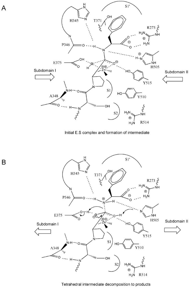 Fig. 8