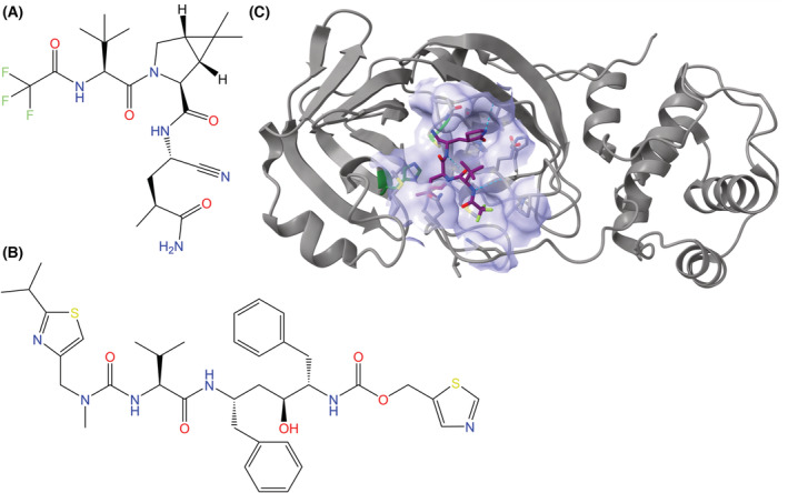 Fig. 9