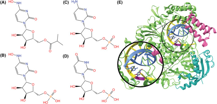 Fig. 14