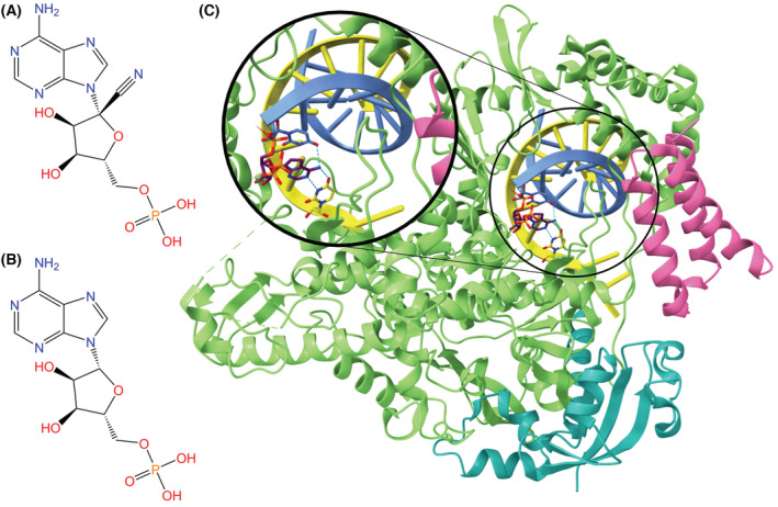 Fig. 11