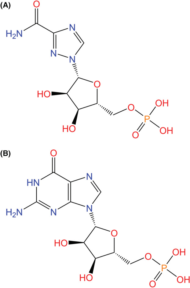 Fig. 12