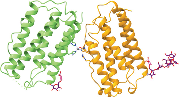 Fig. 17