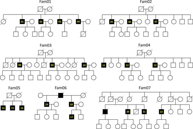 Fig 1