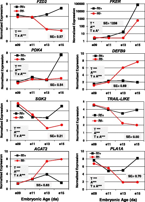 Fig. 11