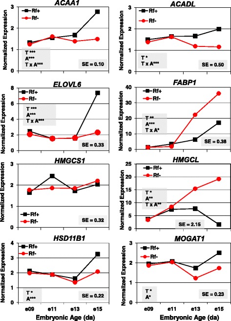 Fig. 9