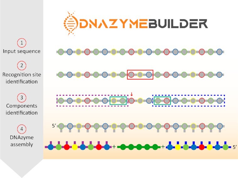 Graphical Abstract