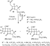 Scheme 12