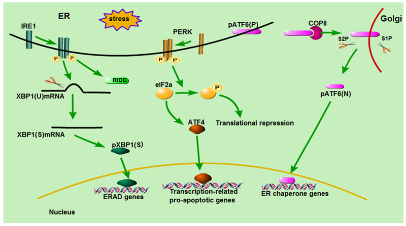 Figure 1: