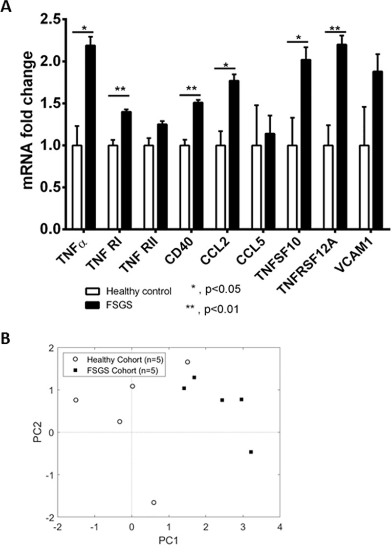 Fig 6