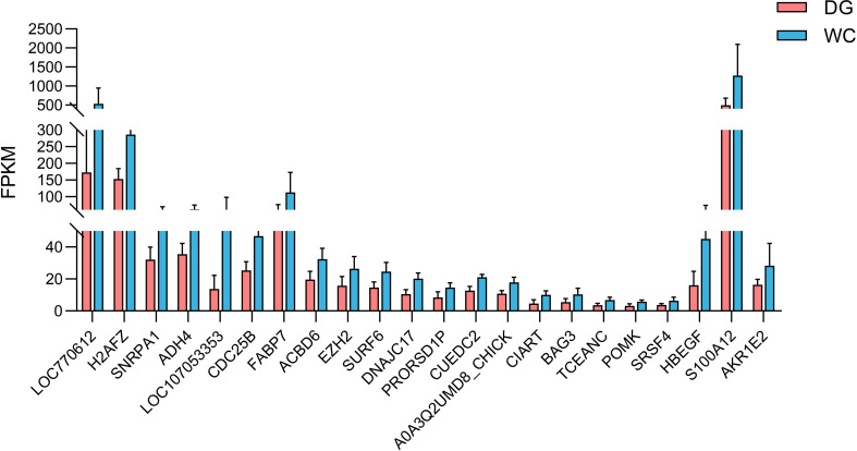 Figure 6