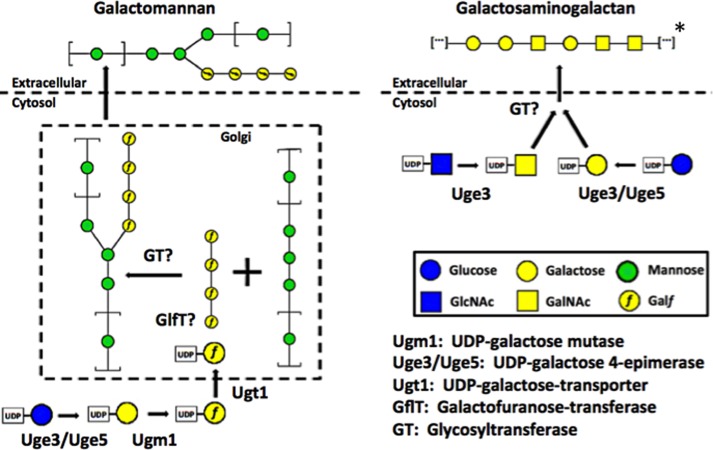 FIGURE 11.