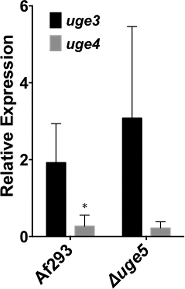 FIGURE 5.