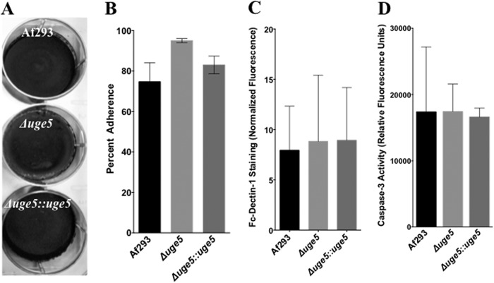 FIGURE 10.