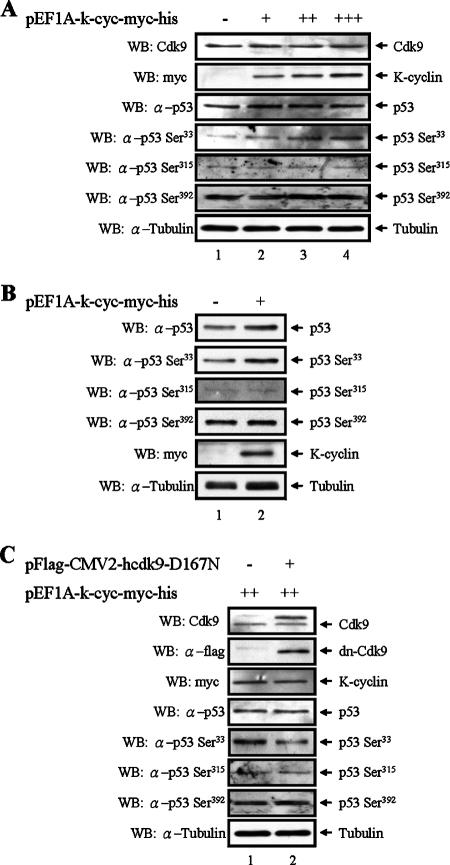 FIG. 6.