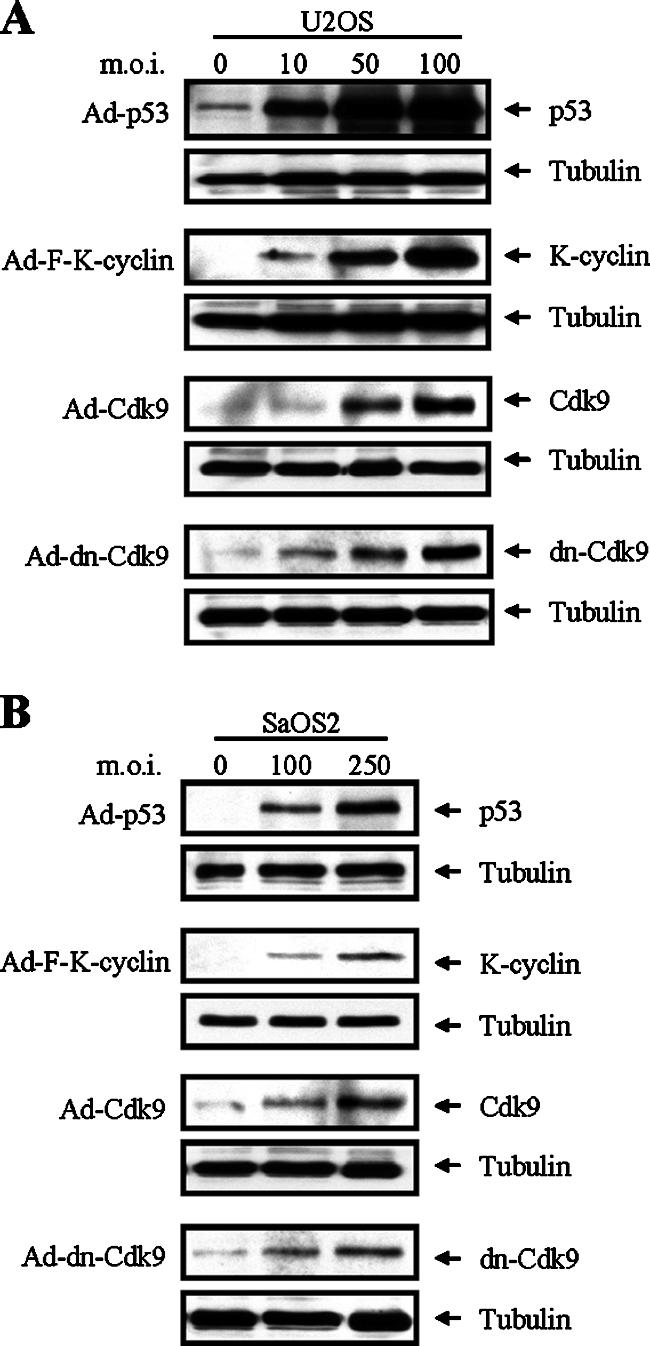 FIG. 7.