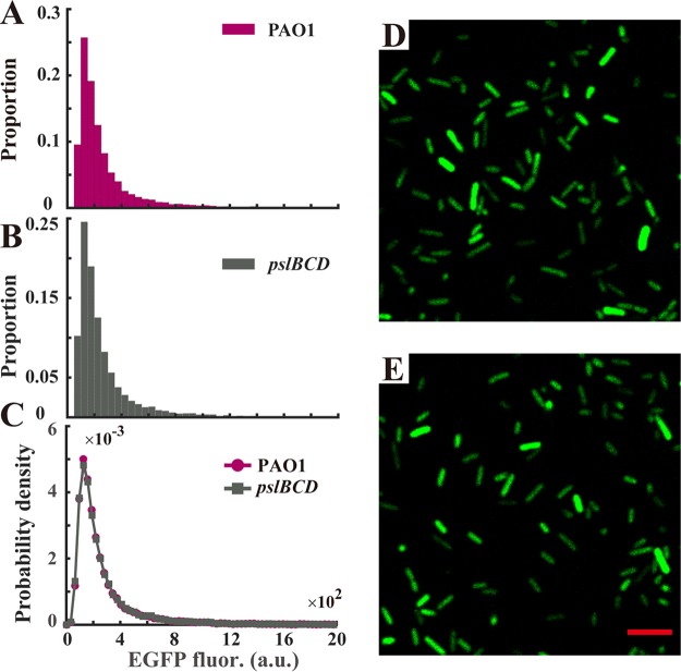 FIG 4