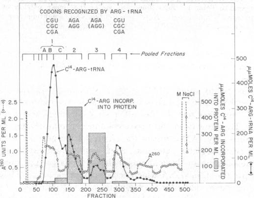 graphic file with name pnas00104-0273-a.jpg