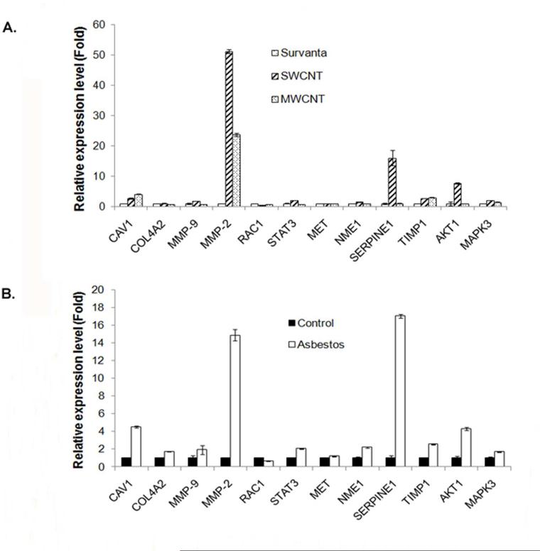 Chronic Exposure to Carbon Nanotubes Induces Invasion of Human ...