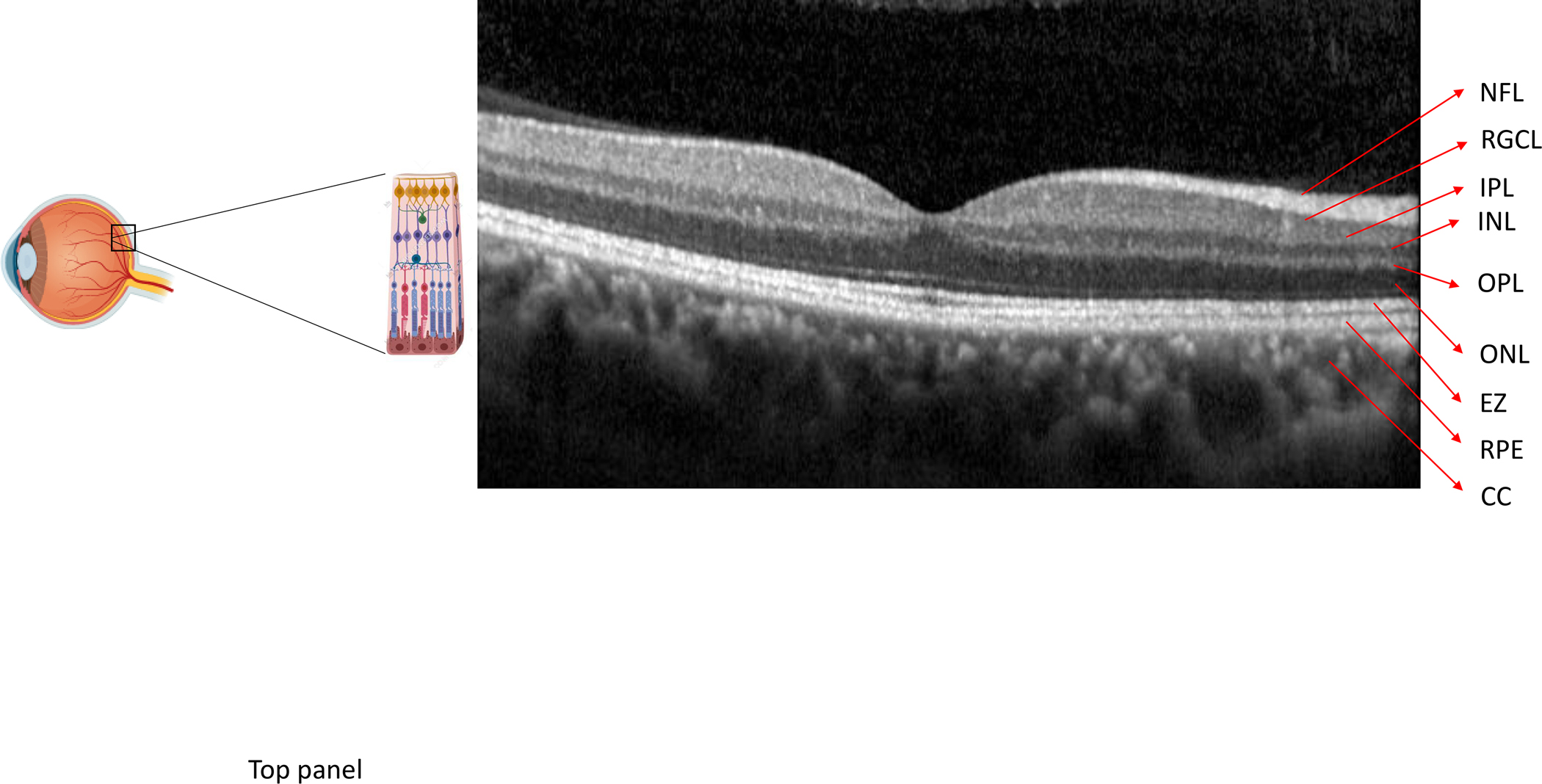 Figure 4: