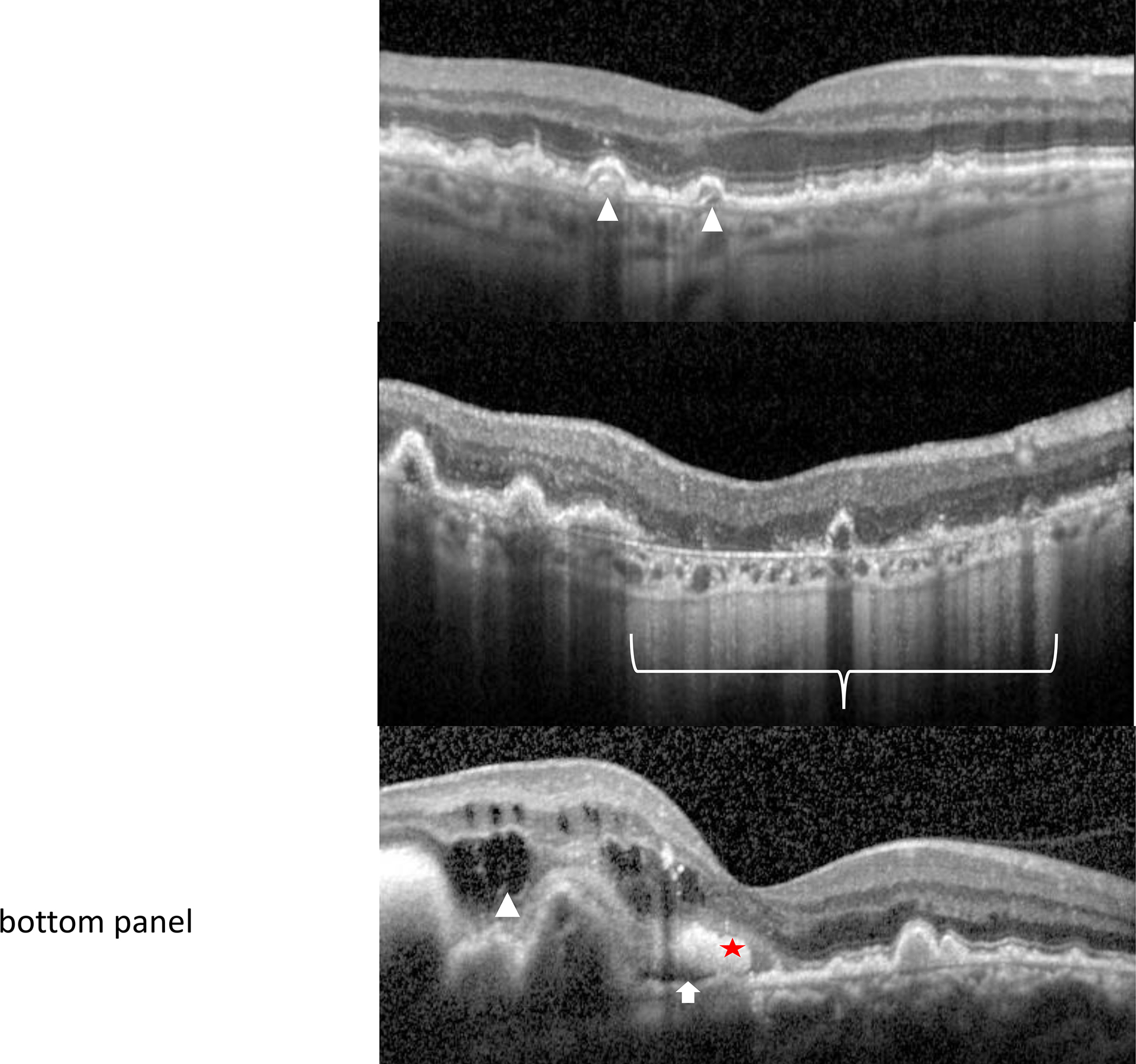 Figure 4: