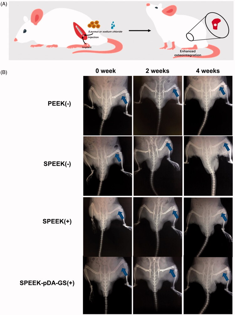 Figure 6.